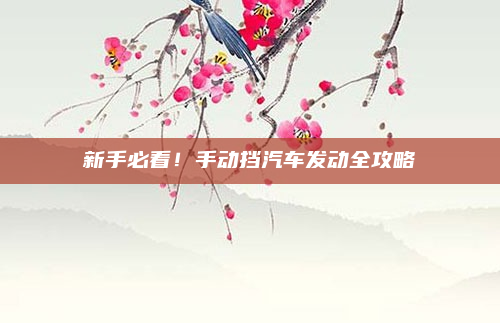 新手必看！手动挡汽车发动全攻略