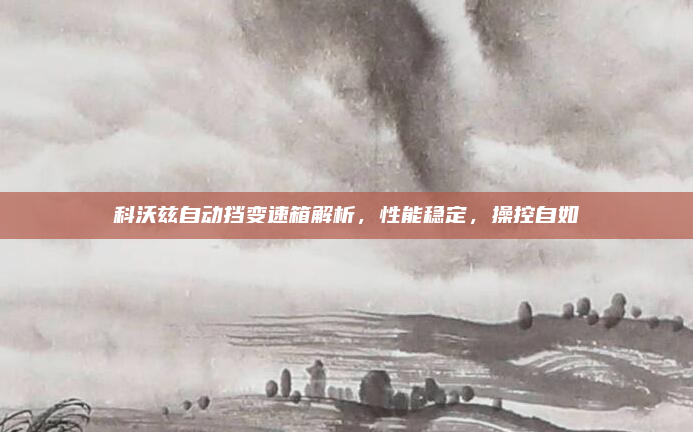 科沃兹自动挡变速箱解析,性能稳定,操控自如