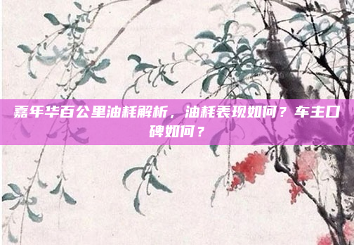 嘉年华百公里油耗解析，油耗表现如何？车主口碑如何？