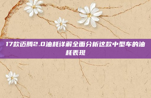 17款迈腾2.0油耗详解全面分析这款中型车的油耗表现