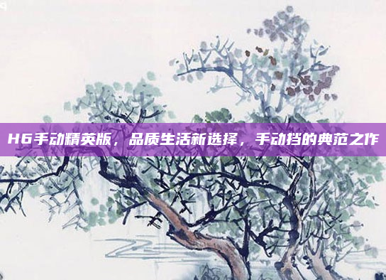 H6手动精英版，品质生活新选择，手动挡的典范之作