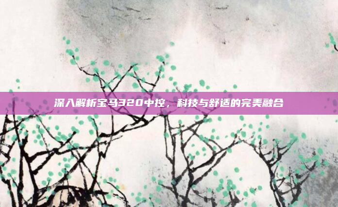 深入解析宝马320中控，科技与舒适的完美融合