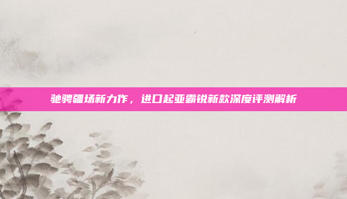 驰骋疆场新力作，进口起亚霸锐新款深度评测解析