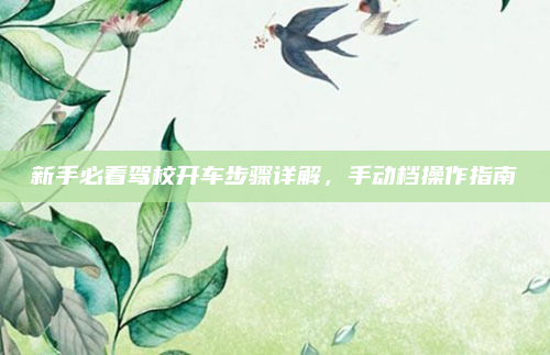 新手必看驾校开车步骤详解，手动档操作指南