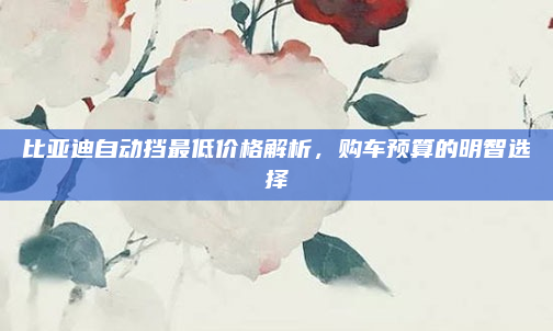 比亚迪自动挡最低价格解析，购车预算的明智选择