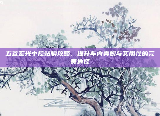 五菱宏光中控贴膜攻略,提升车内美观与实用性的完美选择
