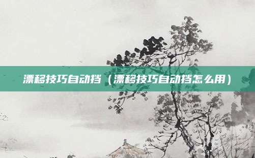 漂移技巧自动挡（漂移技巧自动挡怎么用）