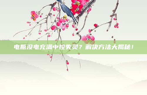 电瓶没电充满中控失灵？解决方法大揭秘！