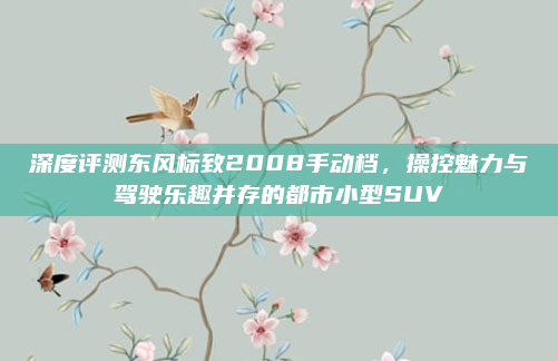 深度评测东风标致2008手动档,操控魅力与驾驶乐趣并存的都市小型SUV