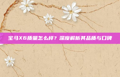 宝马X6质量怎么样？深度解析其品质与口碑