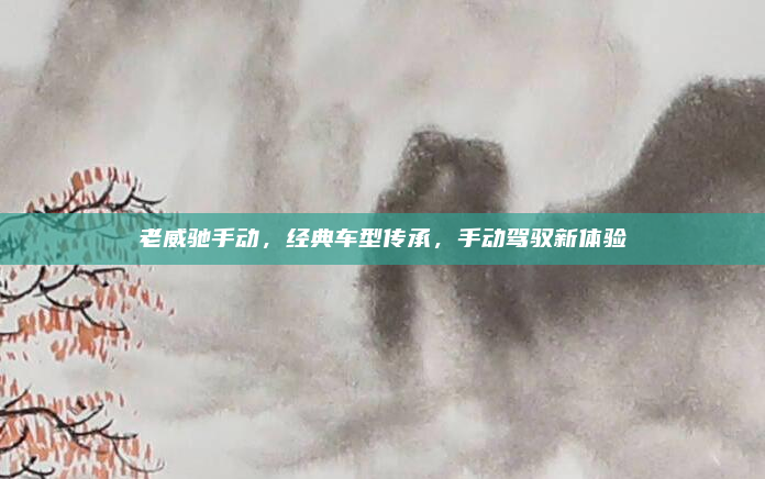 老威驰手动,经典车型传承,手动驾驭新体验