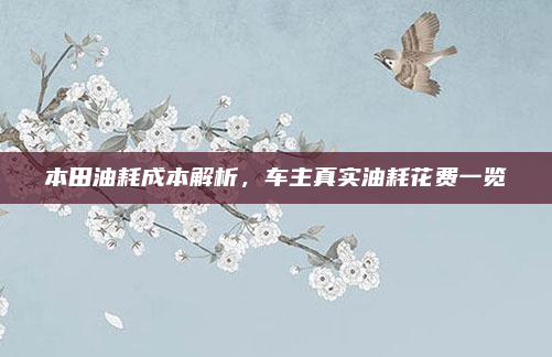 本田油耗成本解析，车主真实油耗花费一览