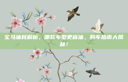 宝马油耗解析，哪款车型更省油，购车指南大揭秘！