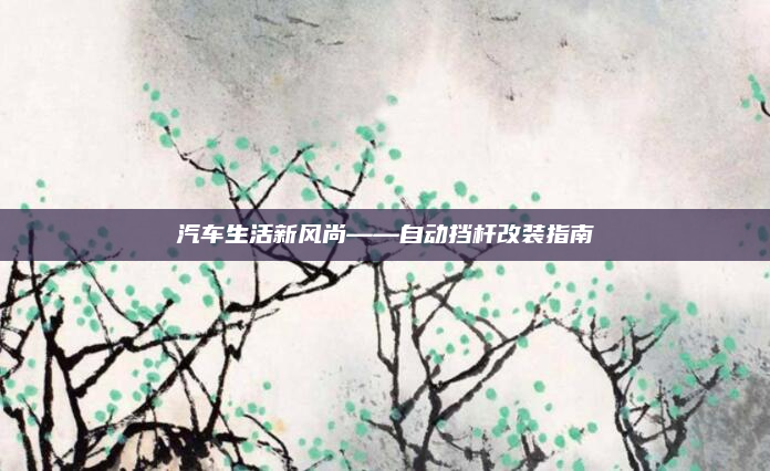 汽车生活新风尚——自动挡杆改装指南