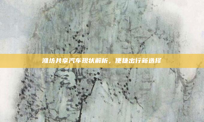 潍坊共享汽车现状解析，便捷出行新选择