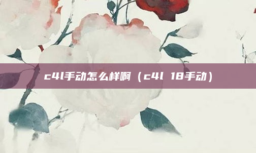 c4l手动怎么样啊（c4l 18手动）