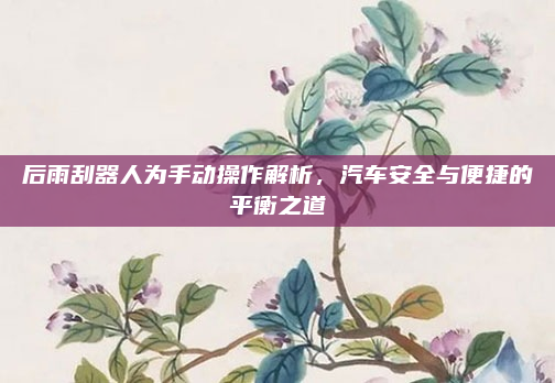 后雨刮器人为手动操作解析,汽车安全与便捷的平衡之道