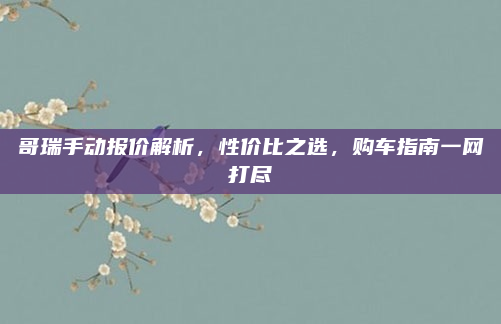 哥瑞手动报价解析，性价比之选，购车指南一网打尽