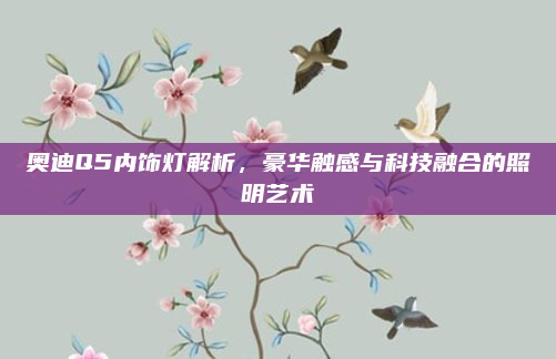 奥迪Q5内饰灯解析，豪华触感与科技融合的照明艺术
