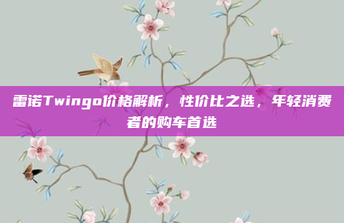 雷诺Twingo价格解析，性价比之选，年轻消费者的购车首选