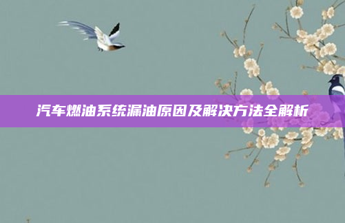 汽车燃油系统漏油原因及解决方法全解析