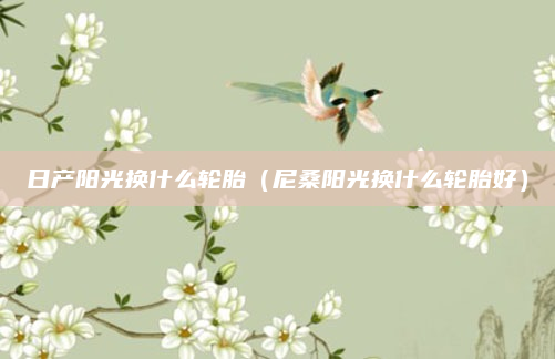 日产阳光换什么轮胎（尼桑阳光换什么轮胎好）