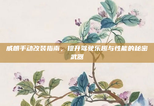 威朗手动改装指南，提升驾驶乐趣与性能的秘密武器