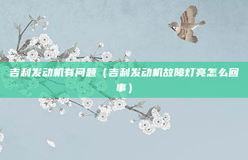 吉利发动机有问题（吉利发动机故障灯亮怎么回事）