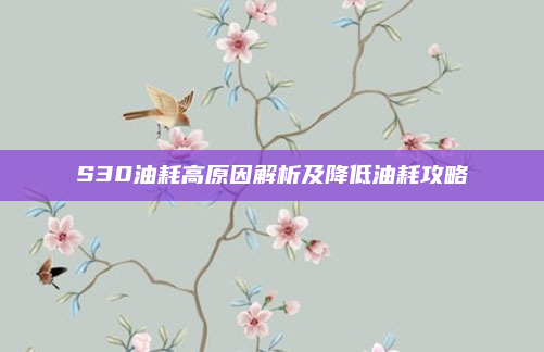 S30油耗高原因解析及降低油耗攻略