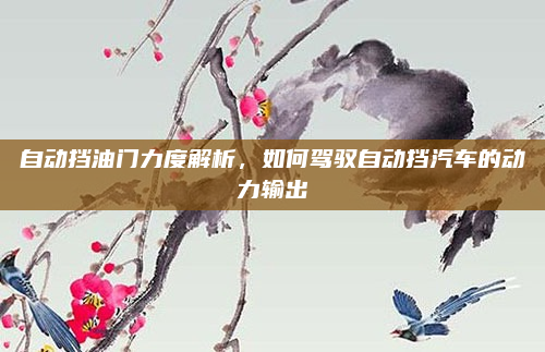 自动挡油门力度解析,如何驾驭自动挡汽车的动力输出