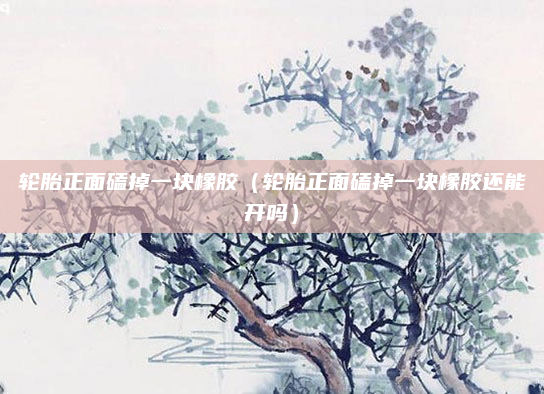 轮胎正面磕掉一块橡胶（轮胎正面磕掉一块橡胶还能开吗）