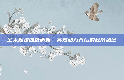 宝来起步油耗解析,高效动力背后的经济秘密