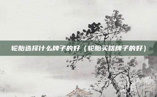 轮胎选择什么牌子的好（轮胎买啥牌子的好）