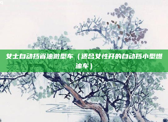 女士自动挡省油微型车（适合女性开的自动挡小型燃油车）