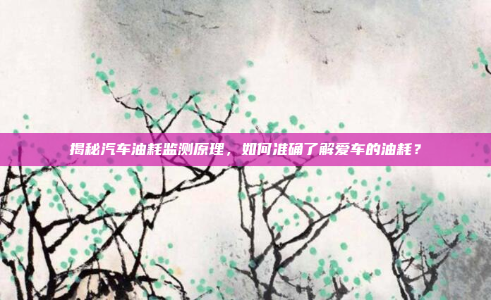 揭秘汽车油耗监测原理，如何准确了解爱车的油耗？