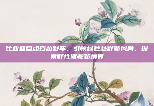 比亚迪自动挡越野车，引领绿色越野新风尚，探索野性驾驶新境界