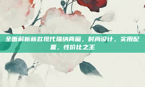 全面解析新款现代瑞纳两厢，时尚设计，实用配置，性价比之王