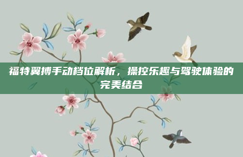 福特翼搏手动档位解析，操控乐趣与驾驶体验的完美结合
