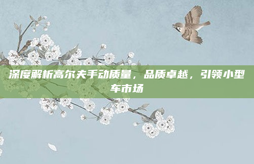 深度解析高尔夫手动质量，品质卓越，引领小型车市场
