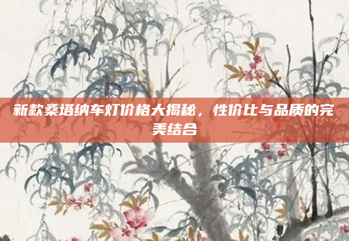 新款桑塔纳车灯价格大揭秘,性价比与品质的完美结合