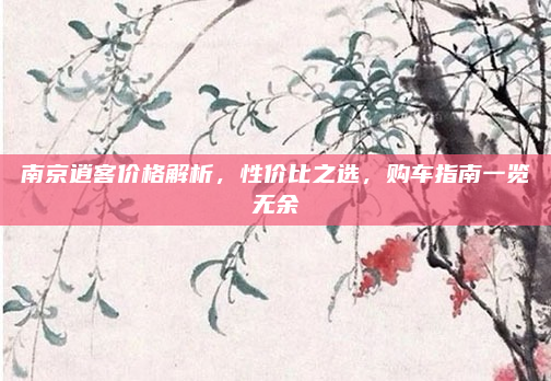 南京逍客价格解析，性价比之选，购车指南一览无余