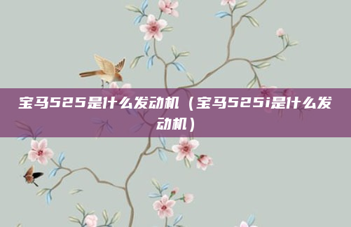 宝马525是什么发动机（宝马525i是什么发动机）