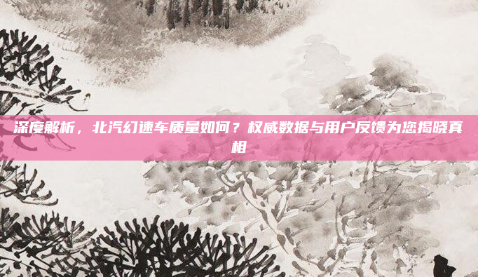 深度解析,北汽幻速车质量如何?权威数据与用户反馈为您揭晓真相