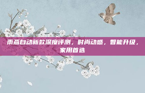 雨燕自动新款深度评测，时尚动感，智能升级，家用首选