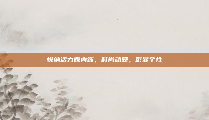 悦纳活力版内饰，时尚动感，彰显个性