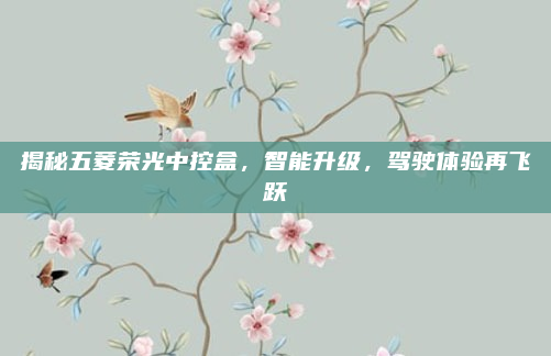 揭秘五菱荣光中控盒，智能升级，驾驶体验再飞跃