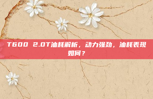 T600 2.0T油耗解析，动力强劲，油耗表现如何？