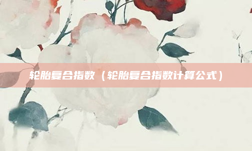 轮胎复合指数（轮胎复合指数计算公式）