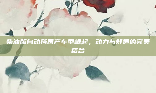 柴油版自动挡国产车型崛起，动力与舒适的完美结合