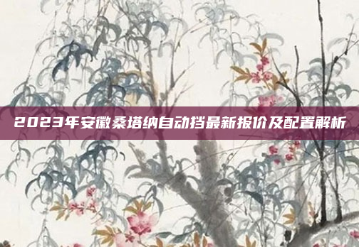 2023年安徽桑塔纳自动挡最新报价及配置解析